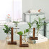 Hydroponic Vintage Vase